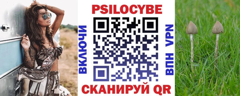 купить закладку  Томилино  KRAKEN tor  Галлюциногенные грибы мицелий 